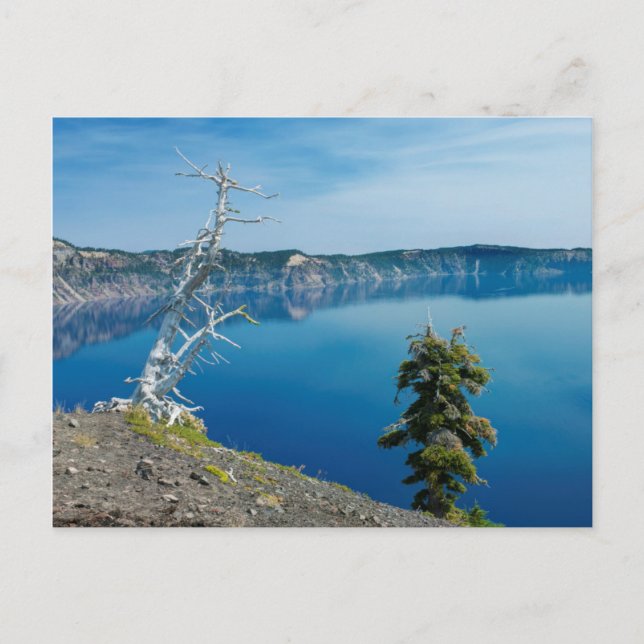 USA, Oregon, Crater Lake National Park 4 Vykort (Framsida)