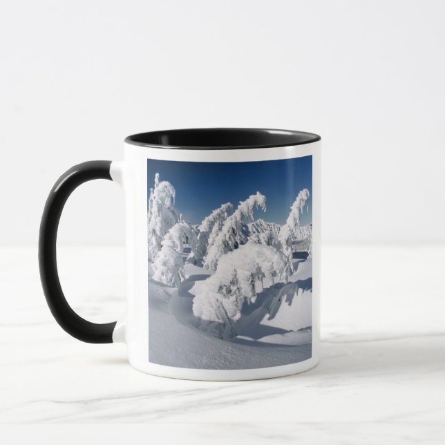 USA, Oregon, Crater Lake NP. Träd hänger under en Mugg (Vänster)
