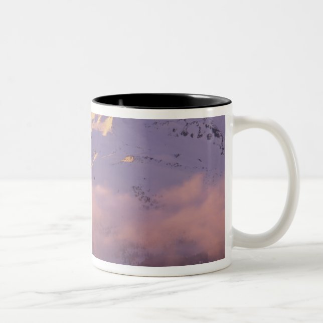 USA, Oregon, Deschutes National Forest, Den Två-Tonad Mugg (Höger)