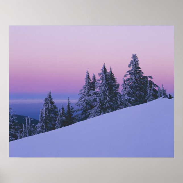 USA, Oregon, Deschutes National Forest, Dusk Poster (Framsidan)