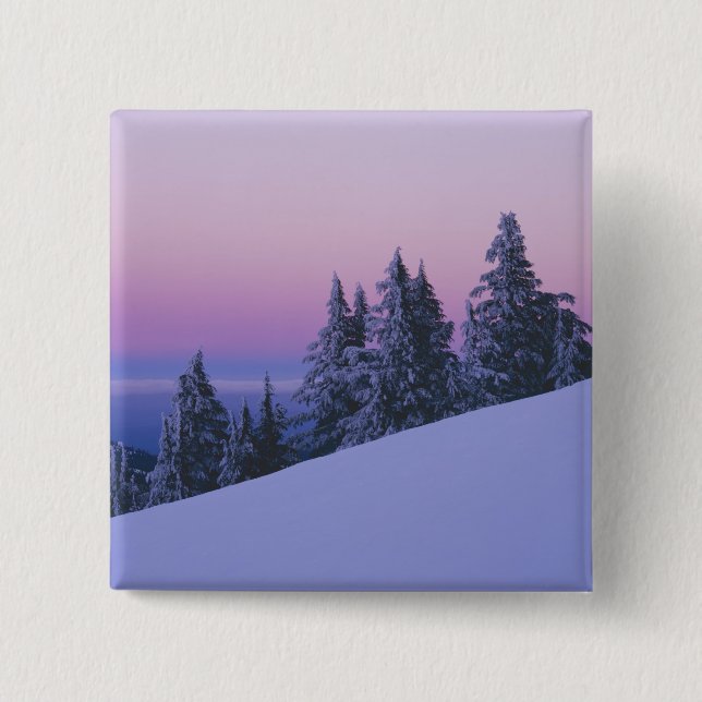 USA, Oregon, Deschutes National Forest, Skymning Knapp (Framsida)