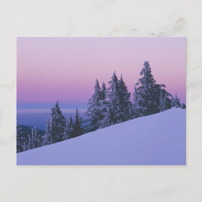 USA, Oregon, Deschutes National Forest, Skymning Vykort (Framsida)