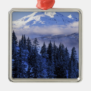 USA, Oregon, Deschutes National Forest, Söder Julgransprydnad Metall