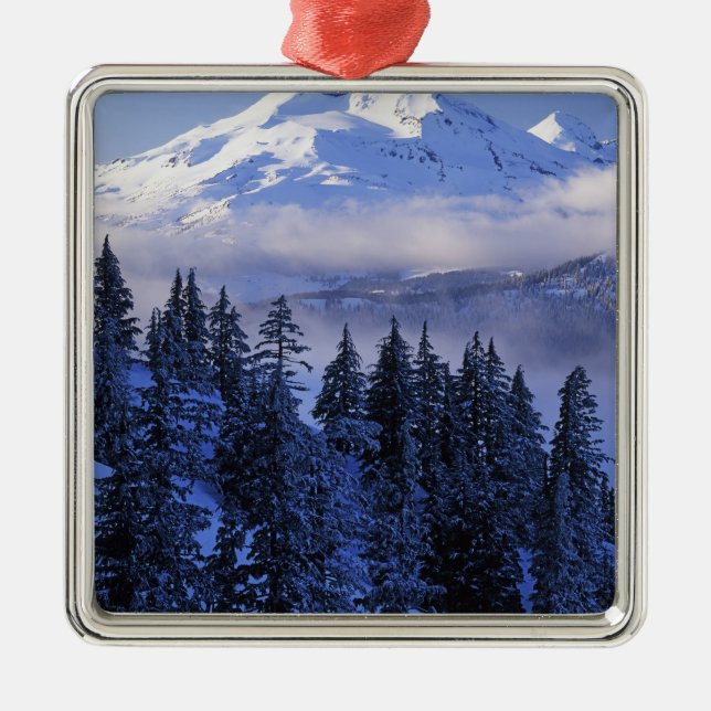 USA, Oregon, Deschutes National Forest, Söder Julgransprydnad Metall (Framsidan)