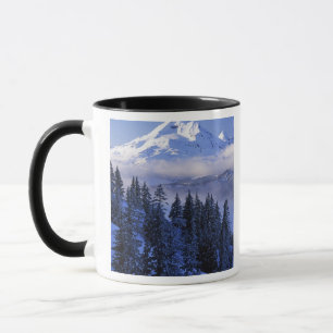 USA, Oregon, Deschutes National Forest, Söder Mugg