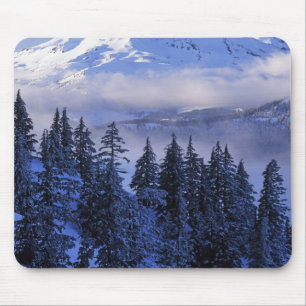 USA, Oregon, Deschutes National Forest, Söder Musmatta