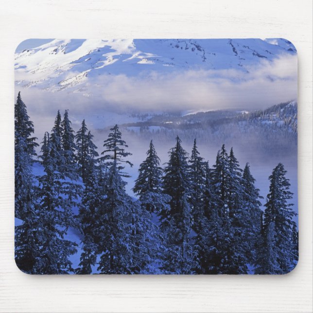 USA, Oregon, Deschutes National Forest, Söder Musmatta (Framsidan)