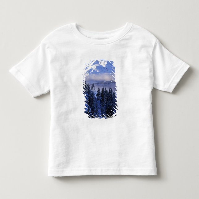 USA, Oregon, Deschutes National Forest, Söder T Shirt (Framsida)