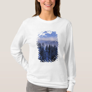 USA, Oregon, Deschutes National Forest, Söder Tee