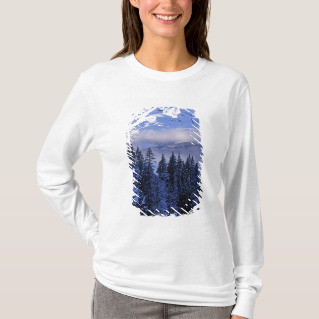 USA, Oregon, Deschutes National Forest, Söder Tee (Framsida)