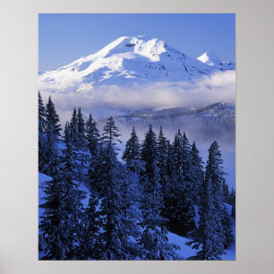 USA, Oregon, Deschutes National Forest, Södra Poster