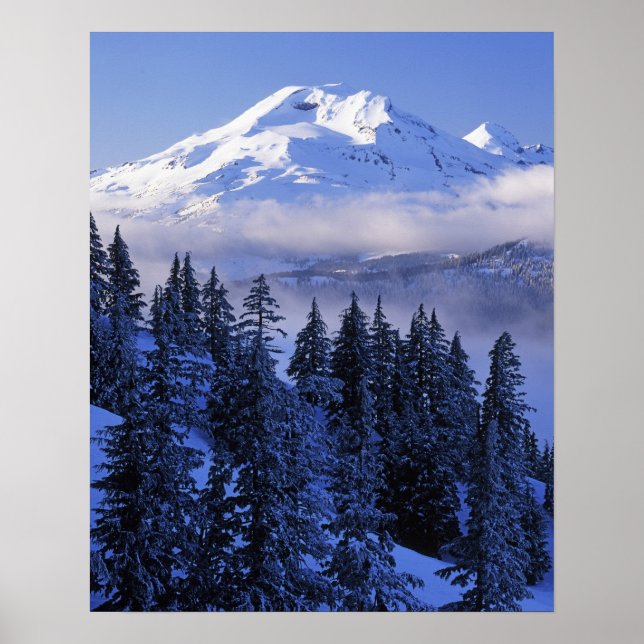 USA, Oregon, Deschutes National Forest, Södra Poster (Framsidan)