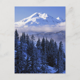 USA, Oregon, Deschutes National Forest, South Vykort