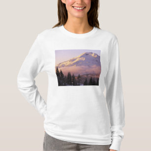 USA, Oregon, Deschutes National Forest, The Tröja
