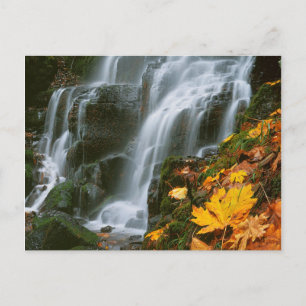 USA, Oregon, Fairy Falls, Columbia River Gorge Vykort