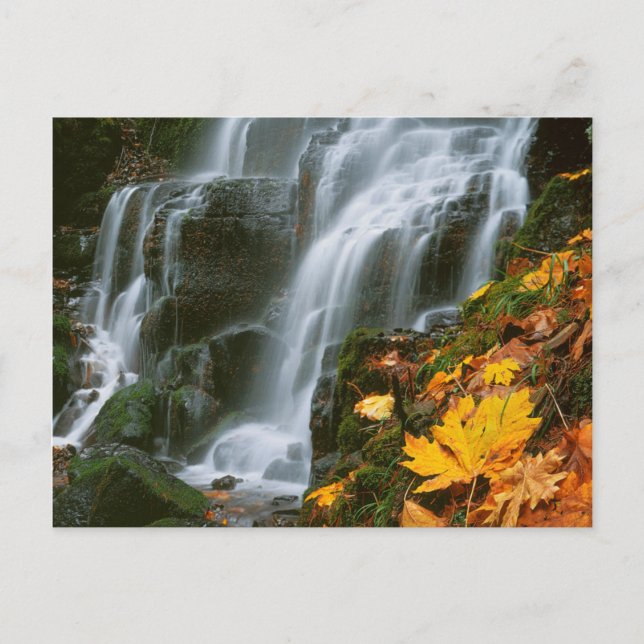 USA, Oregon, Fairy Falls, Columbia River Gorge Vykort (Framsida)