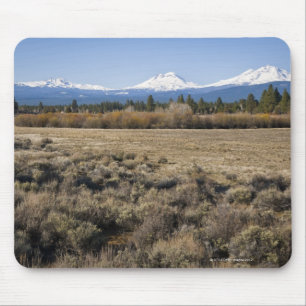 USA Oregon, fält med snö täckte kaskaden Musmatta