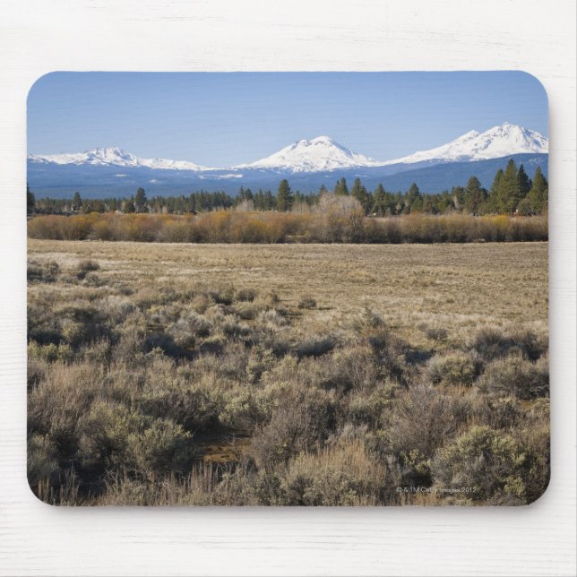USA Oregon, fält med snö täckte kaskaden Musmatta (Framsidan)