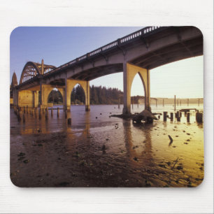 USA, Oregon, Florence. Siuslaw Bridge och Musmatta