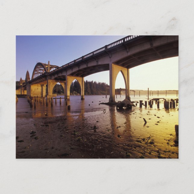USA, Oregon, Florence. Siuslaw Bridge och Vykort (Framsida)