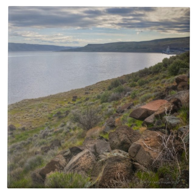 USA Oregon, Gilliam County, Columbia River Kakelplatta (Framsidan)