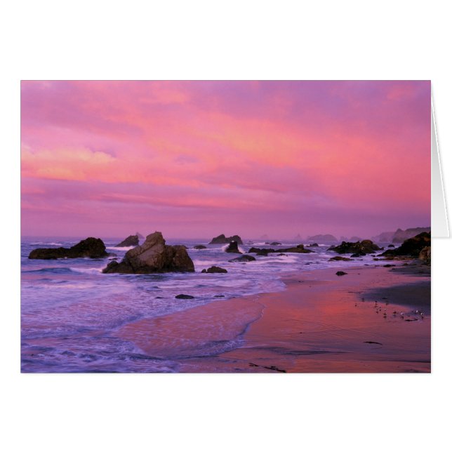 USA, Oregon, Harris State Beach, Brookings. Hälsningskort (Framsidan Horizontal)