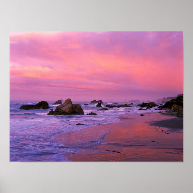 USA, Oregon, Harris State Beach, Brookings. Poster (Framsidan)