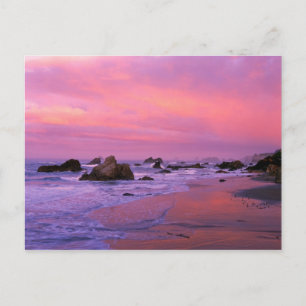 USA, Oregon, Harris State Beach, Brookings. Vykort
