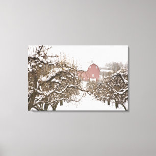USA, Oregon, Hood River. Snötäckt äpple Canvastryck