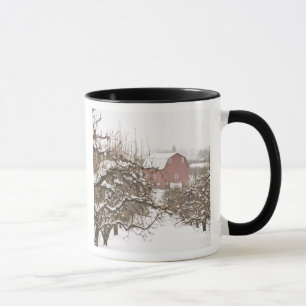 USA, Oregon, Hood River. Snötäckt äpple Mugg