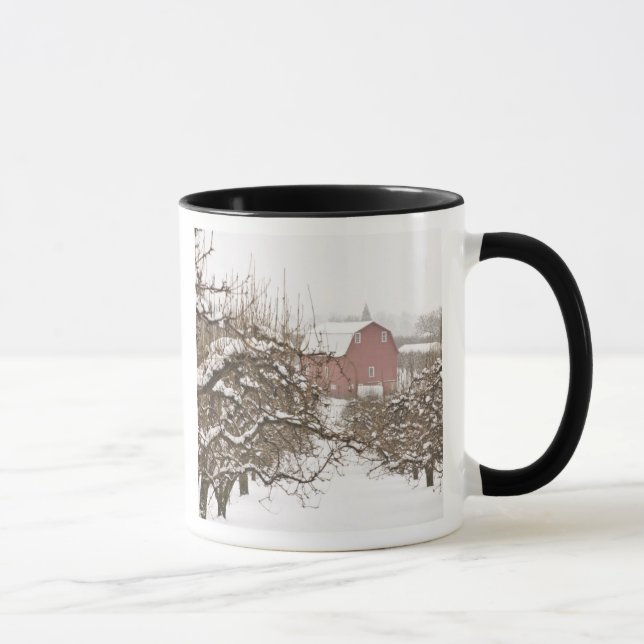 USA, Oregon, Hood River. Snötäckt äpple Mugg (Höger)