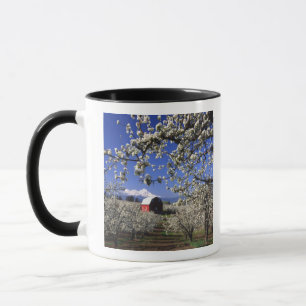 USA, Oregon, Hood River Valley, Päronodling Mugg