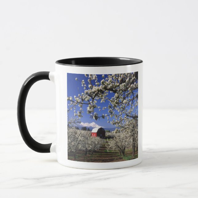 USA, Oregon, Hood River Valley, Päronodling Mugg (Vänster)