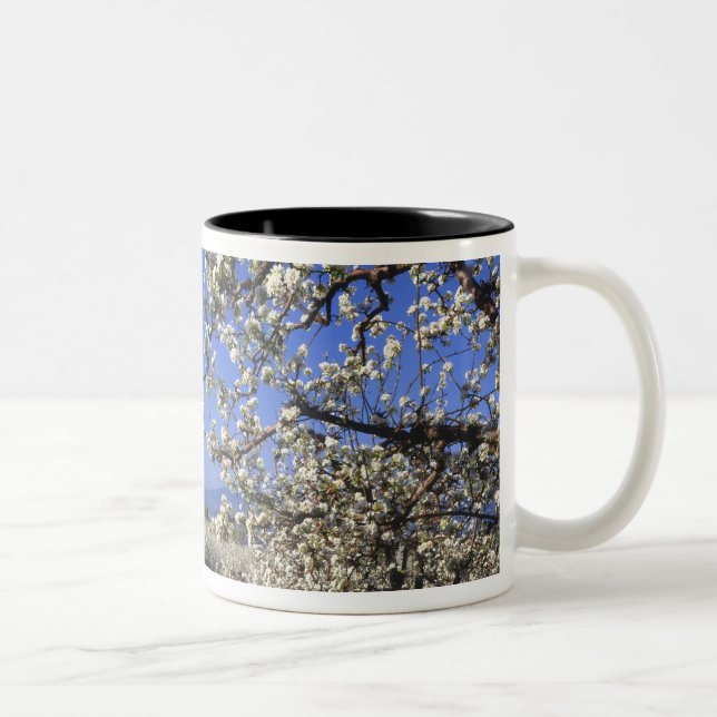 USA, Oregon, Hood River Valley, Päronodling Två-Tonad Mugg (Höger)