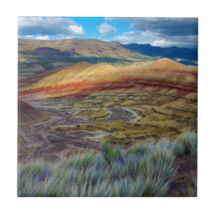 USA, Oregon. Landskapet vid Painted Hills Kakelplatta