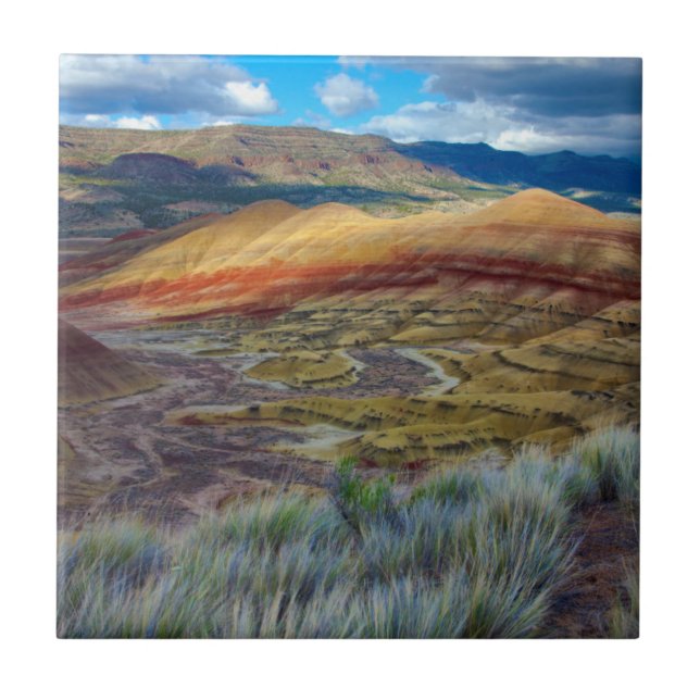 USA, Oregon. Landskapet vid Painted Hills Kakelplatta (Framsidan)