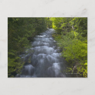 USA, Oregon, Linn County, View Marion Bäck Vykort