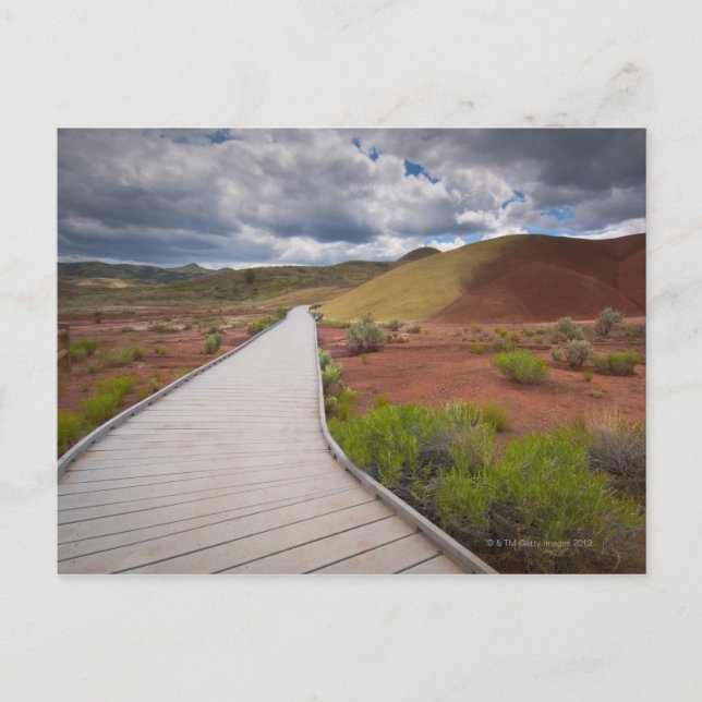 USA, Oregon, Mitchell, Pathway bland målade Vykort (Framsida)