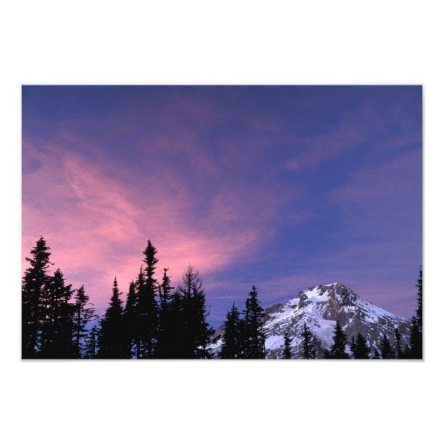 USA, Oregon, Mount Hood från Timberline Fototryck (Framsidan)
