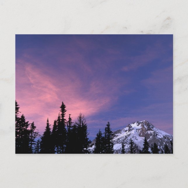 USA, Oregon, Mount Hood från Timberline Vykort (Framsida)