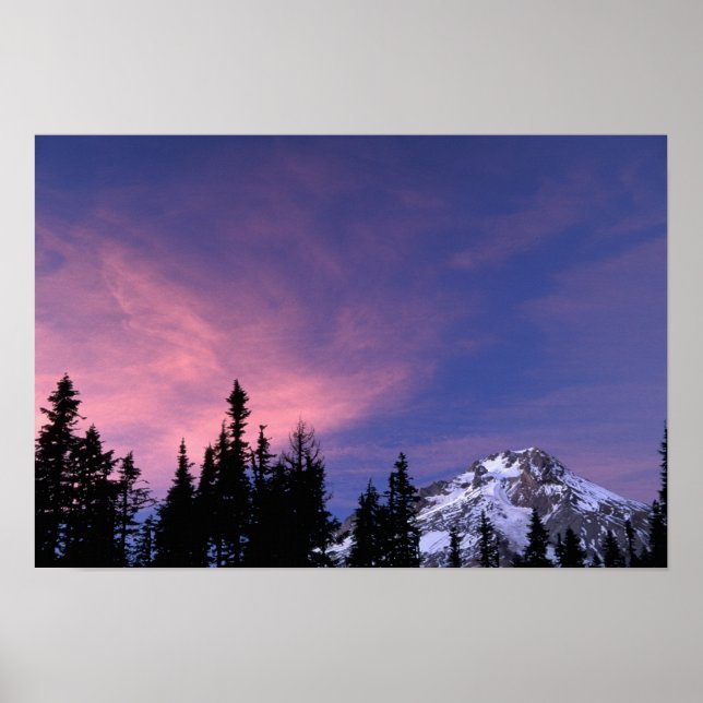 USA, Oregon, Mount Huva från Timberline Poster (Framsidan)