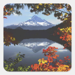 USA, Oregon, Mt. Hood National Forest. Fyrkantigt Klistermärke
