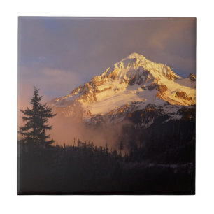 USA, Oregon, Mt. Hood National Forest Kakelplatta