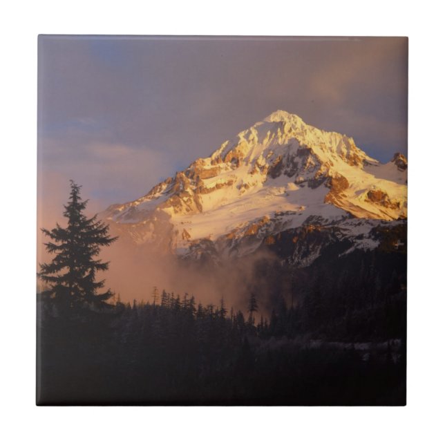 USA, Oregon, Mt. Hood National Forest Kakelplatta (Framsidan)