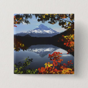 USA, Oregon, Mt. Hood National Forest. Knapp