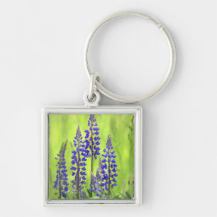 USA, Oregon, Mt. Hood National Forest, Lupin Fyrkantig Silverfärgad Nyckelring