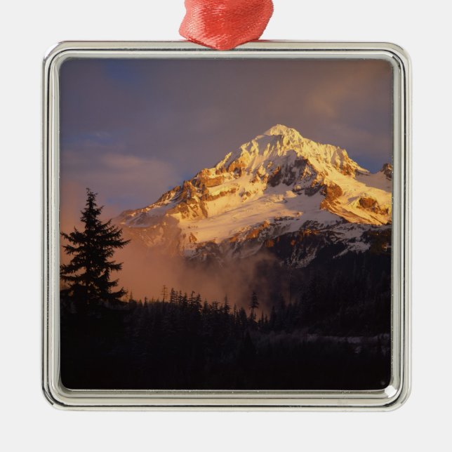 USA, Oregon, Mt. Hood National Forest. Rullande Julgransprydnad Metall (Framsidan)