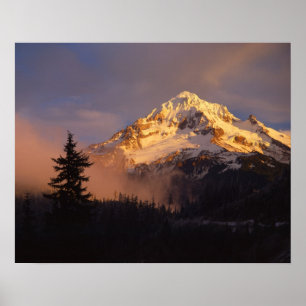 USA, Oregon, Mt. Hood National Forest. Rullande Poster