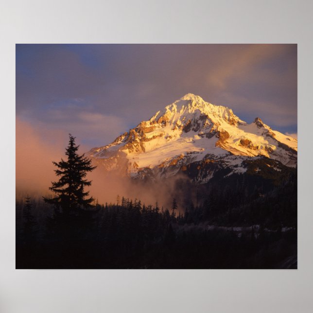 USA, Oregon, Mt. Hood National Forest. Rullande Poster (Framsidan)