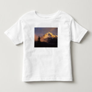 USA, Oregon, Mt. Hood National Forest. Rullande Tee